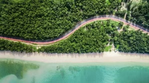 在海南，把“海”玩出花！N种方式等你来“浪”